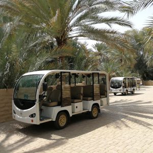 ain oasis sightseeing tour from abu dhabi airport time
