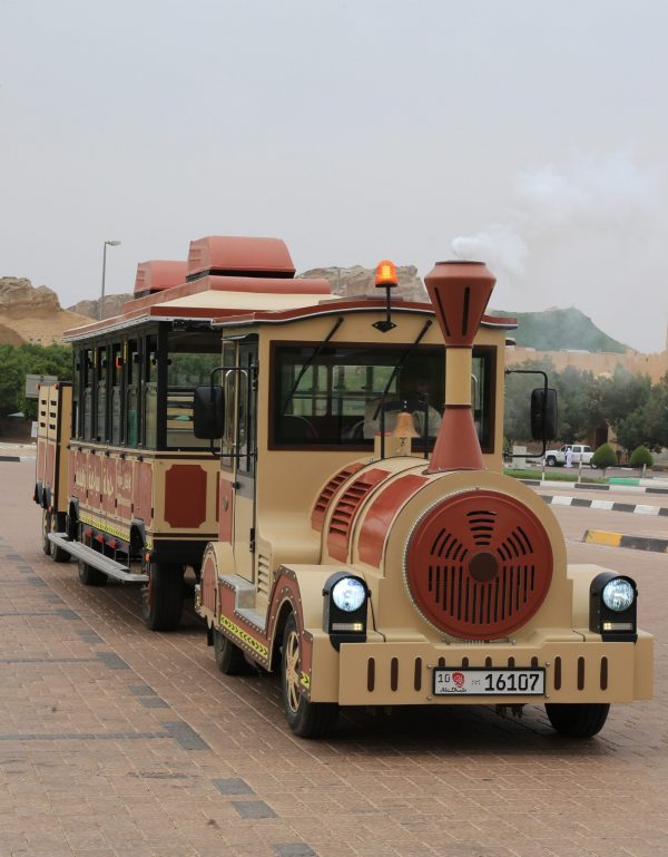 Leisure Train Tourism